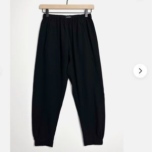 Aritzia Dexter pants Babaton